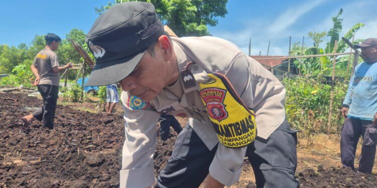 FOTO: MATAKALTENG - Personel Polsek Sabangau, pada saat membantu warga melakukan penanaman.