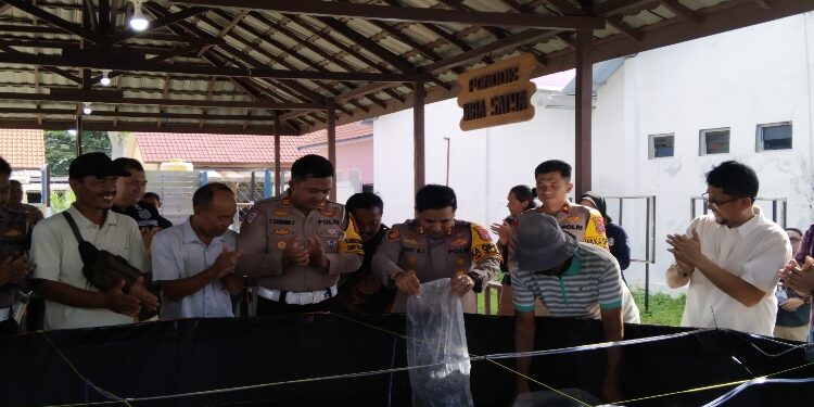 FOTO: AGUS/MATAKALTENG - Kapolres Kotim, AKBP Resky Maulana Zulkarnain saat menabur bibit ikan di kolam Bioflok untuk mendukung program ketahanan pangan, Jumat 15 November 2024.