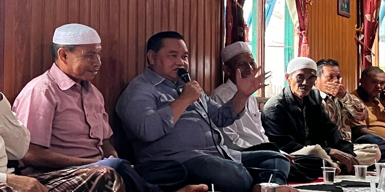 FOTO: IST/MATA KALTENG - Halikinnor saat berkunjung ke Kecamatan Pulau Hanaut, Rabu 20 November 2024.