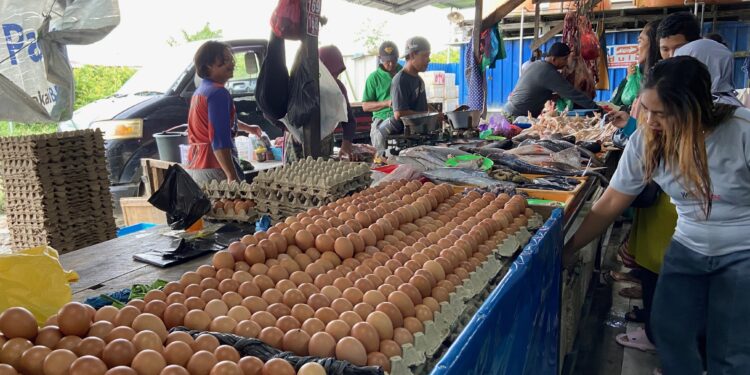 Foto:DIAN/MATA KALTENG - Pedagang telur di pasar Al Kamal Sampit.