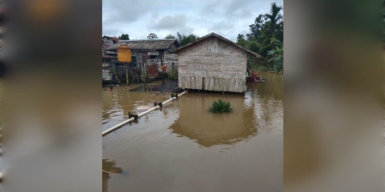 Foto : AKH/MATAKALTENG - Banjir di bantaran sungai Desa Semantun Kecamatan Permata Kecubung.