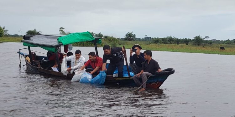 Foto : AKH/MATAKALTENG - Restoking ikan lokal di Sungai Jelai oleh Dinas Perikanan Sukamara.