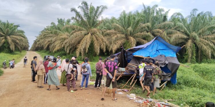 FOTO: AGUS/MATAKALTENG - Pondok milik warga yang dirusak oleh oknum, diatas lahan sengketa warga dan PT SKD.