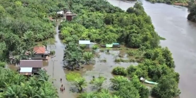 Foto: BPBD/MATA KALTENG - Pantauan banjir di Desa Sudan Kecamatan Cempaga Hulu, Kabupaten Kotim.