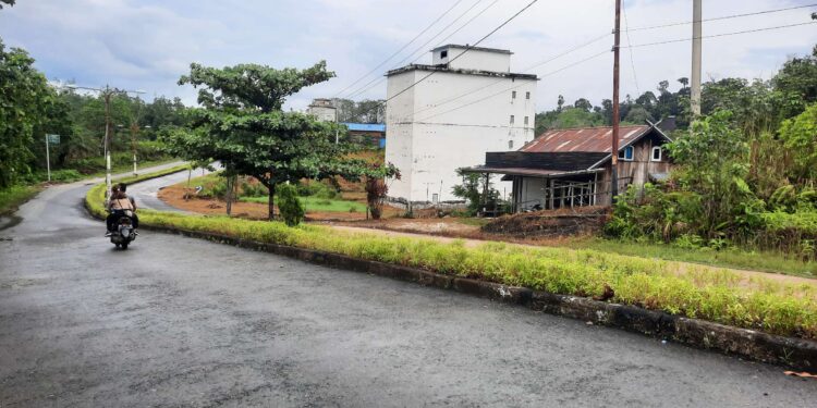 FOTO : BAPENDA GUMAS/MATA KALTENG - Salah satu bangunan sarang burung walet yang terletak di Kota Kuala Kurun, Jumat, 27 Desember 2024.