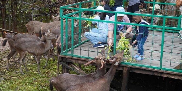FOTO: IST/MATAKALTENG - Gubernur Kalteng H Sugianto Sabran saat meninjau ekowisata Nyaru Menteng Palangka Raya.
