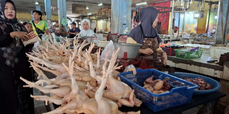 Foto: DIAN/MATA KALTENG - Pedagang ayam di PPM Sampit.