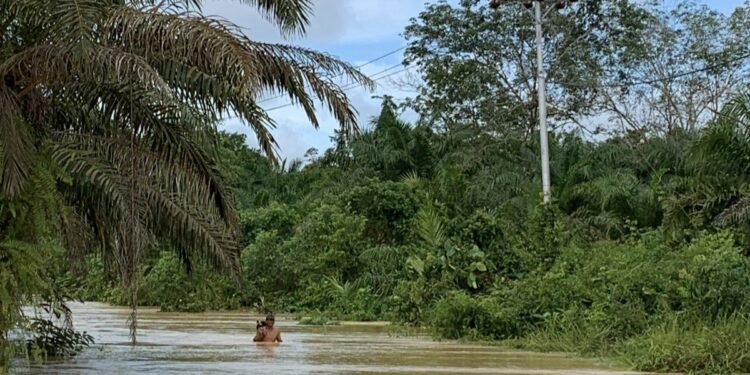 Foto:IST/MATA KALTENG - Banjir yang merendam jalan di Desa Makmur, Kecamatan Tualan Hulu, Kabupaten Kotim, 6 Januari 2025.