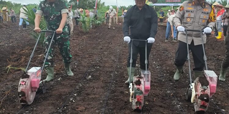 Foto: IST/MATA KALTENG - Bupati Kotim Halikinnor (tengah) saat menanam jagung di Kecamatan Parenggean, 21 Januari 2025.