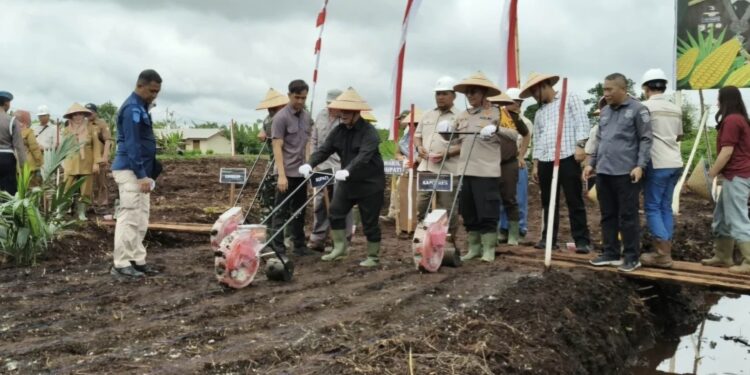 Foto: IST/MATA KALTENG - Penanaman jagung di Kecamatan Kota Besi belum lama ini.