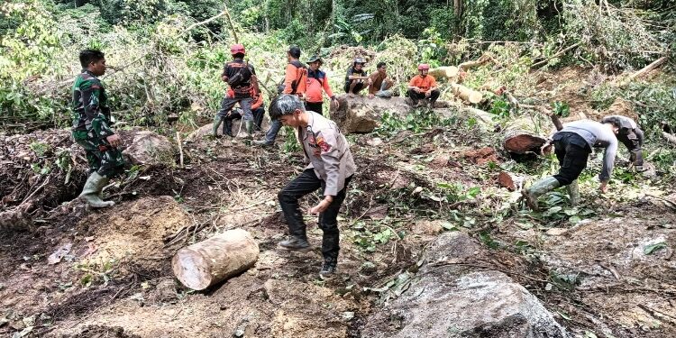 FOTO : POLSEK KAHUT/MATA KALTENG
- Tim gabungan melakukan pencarian kedua warga yang tertimbun tanah longsor, di Sei Drajoi, Desa Tumbang Mahuroi, Kecamatan Damang Batu, Sabtu 25 Januari 2025 kemarin.