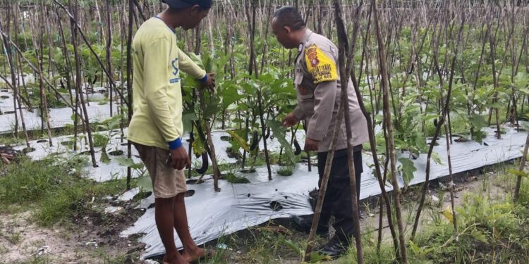 FOTO: MATAKALTENG - Bhabinkamtibmas Polresta Palangka Raya, pada saat mengunjungi kebun warga.