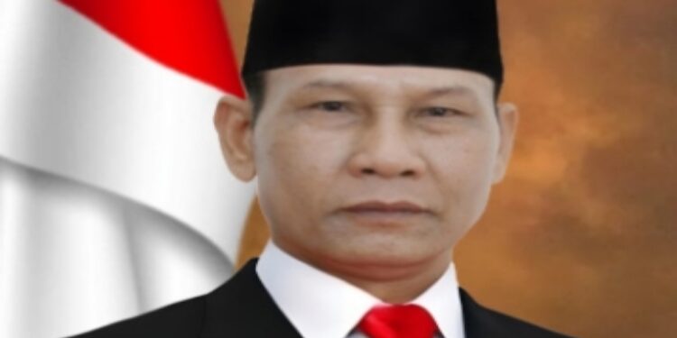Ketua DPRD Kalteng, Arton S Dohong.