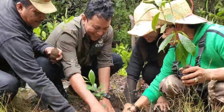 Foto:IST/MATA KALTENG - Penanaman pohon di desa Lampuyang, Kecamatan Teluk Sampit.