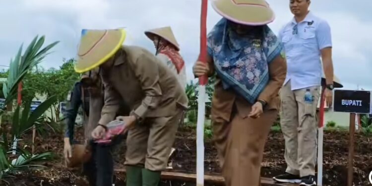 Foto:IST/MATA KALTENG - Penanaman jagung serentak di Kecamatan Kota Besi beberapa waktu lalu bersama Forkopimda Kotim.