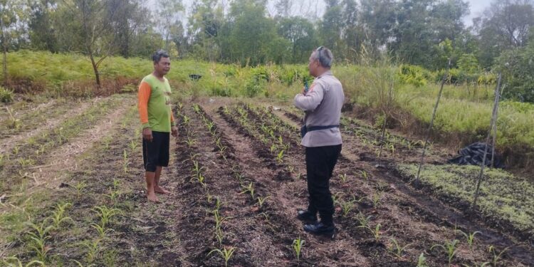 FOTO: MATAKALTENG - Kanit Binmas Polsek Sabangau, Ipda Ade Maulana, pada saat menyambangi petani.