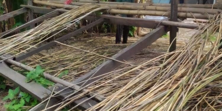 Foto:DOK/MATA KALTENG - Salah satu lokasi pengepul rotan di Kabupaten Kotim yang berada di kecamatan Telaga Antang.