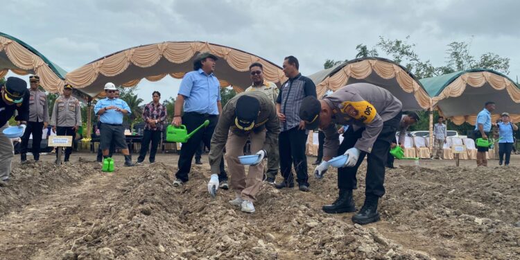 Foto : AKH/MATAKALTENG - Pj Bupati Sukamara Rendy Lesmana saat menanam jagung di areal salah satu perusahaan besar sawit di Sukamara.