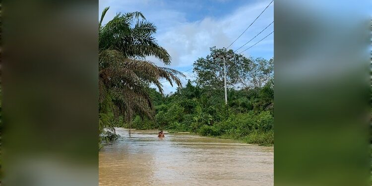 Foto:IST/MATA KALTENG - Banjir yang terjadi diduga akibat gundulnya hutan wilayah Hulu Kotim.