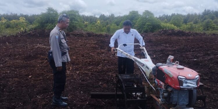 FOTO: MATAKALTENG - Pengecekan lahan penanaman jagung di Kalampangan.