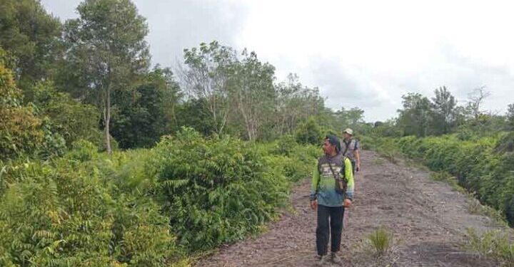FOTO: IST/MATAKALTENG- BKSDA saat melakukan observasi lokasi ditemukan orang utan.