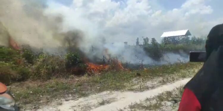 Foto: IST/MATA KALTENG - Lokasi kebakaran hutan dan lahan di Jalan Bumiayu Barat, Gang Aswari, Kecamatan Baamang, Kabupaten Kotim, 12 Februari 2025.