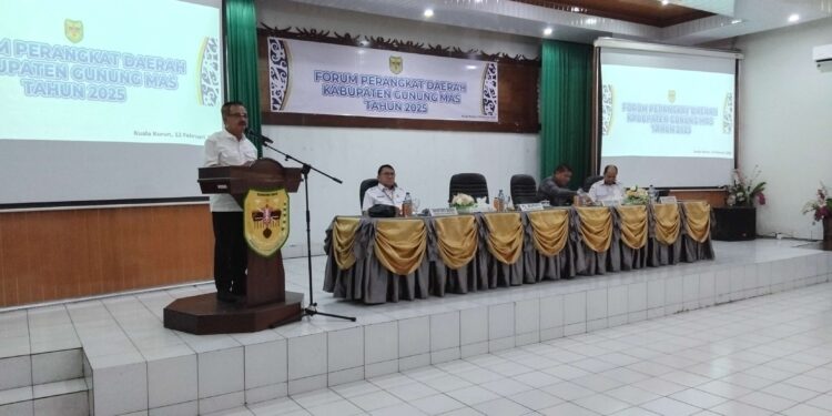 FOTO : DISKOMINFO SANTIK/MATA KALTENG - Pj Bupati Gumas Herson B Aden bersama Sekda Richard dan Kepala Bapperida Yantrio Aulia, memberikan arahan pada kegiatan forum perangkat daerah tahun 2025, di aula kantor bapperida setempat, Rabu, 12 Februari 2025.