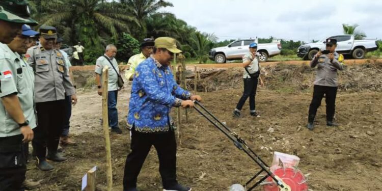 Foto: IST/MATA KALTENG - Penanaman jagung Perdana di Desa Cempaka Putih, Kecamatan Tualan Hulu, 17 Februari 2025.