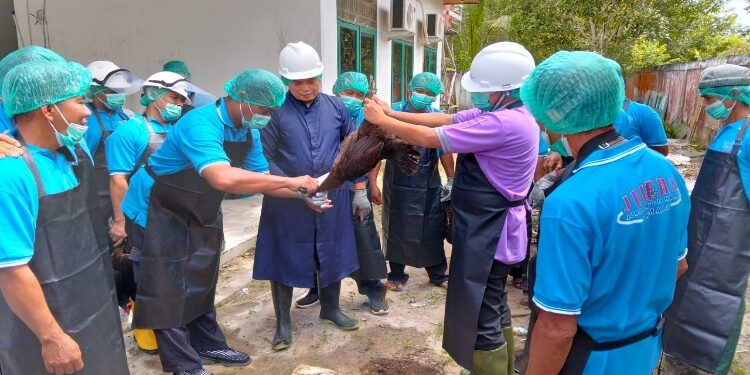 FOTO: AKH MATAKALTENG - Para penguji pada uji kompetensi juru sembelih yang digelar oleh DKPP Sukamara.