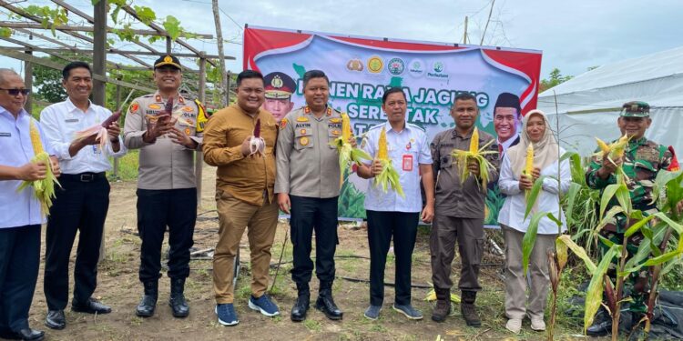 Foto: AKH/MATAKALTENG - Plh Sekda Sukamara Yofi Yudistira bersama Kapolres Sukamara AKBP Telly Alvin dan Forkompinda serta Kepala OPD usai panen jagung.