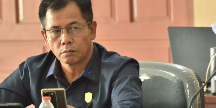 Foto: MATA KALTENG - Anggota DPRD Kotim SP Lumban Gaol.