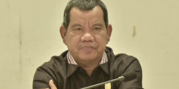 Foto: MATA KALTENG - Wakil Ketua I DPRD Kotim Juliansyah.