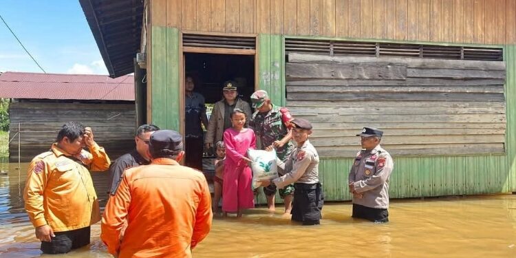 FOTO: IST/MATAKALTENG - Tim BPBD saat meninjau Banjir di Kabupaten Katingan.