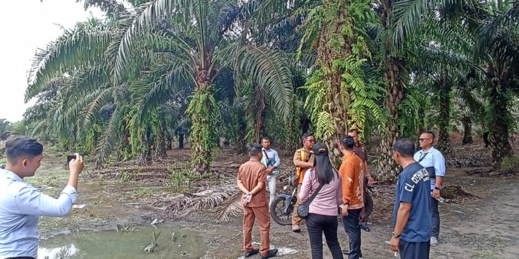 Foto: IST/MATA KALTENG - Komisi 1 DPRD kabupaten Kotim bersama pihak terkait saat melaksanakan cek lokasi lahan yang disengketakan PT BMW bersama warga Desa Karang Tunggal beberapa waktu lalu.