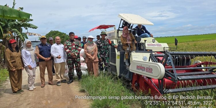 Foto: IST/MATA KALTENG - Dinas Pertanian dan Bulog Sampit saat sambangi pertanian di Desa Lampuyang, 10 Maret 2025.