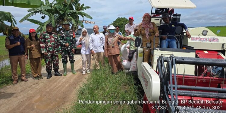 Foto: IST/MATA KALTENG - Dinas Pertanian dan Bulog Sampit saat sambangi pertanian di Desa Lampuyang, 10 Maret 2025.