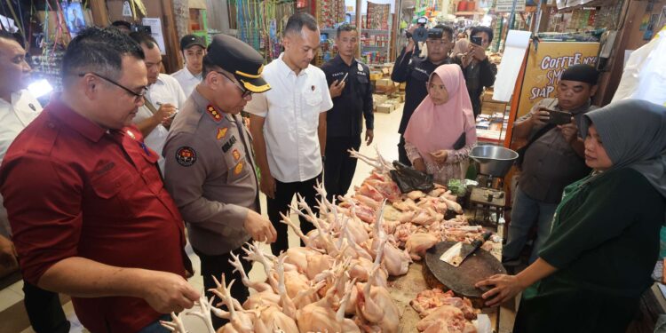 FOTO: MATAKALTENG - Tim Satgas Pangan Kalteng pada saat melakukan sidak di Pasar Kahayan.