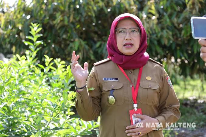 Pemprov Kalteng Genjot Program Cetak Sawah untuk Perkuat Ketahanan Pangan