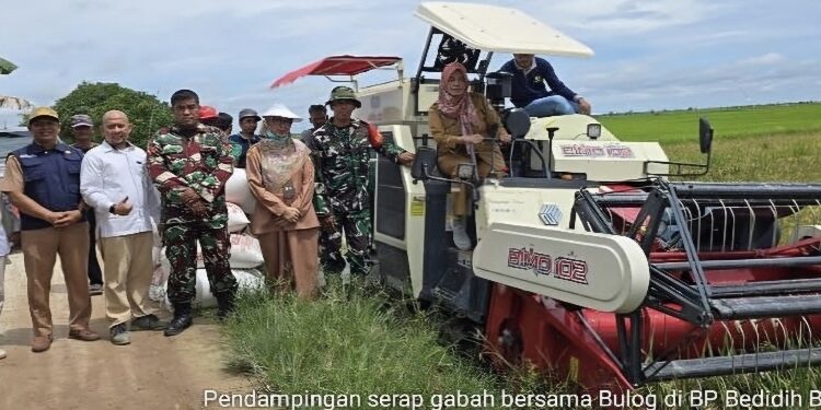 FOTO: IST/MATA KALTENG - Program serap gabah di Desa Lampuyang, Kecamatan Teluk Sampit belum lama ini.
