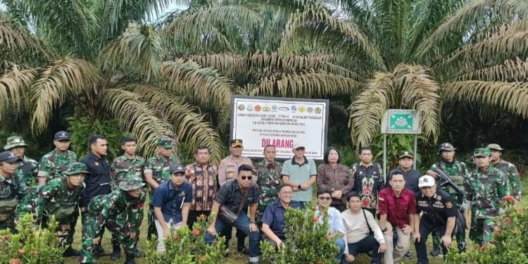 FOTO: IST/MATA KALTENG - Penertipan perusahaan yang masuki kawasan hutan di Kotim oleh Satgas Garuda.