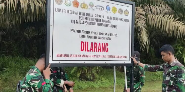 Foto:IST/MATA KALTENG - Penertipan perusahaan yang masuki kawasan hutan di Kotim oleh Satgas Garuda.