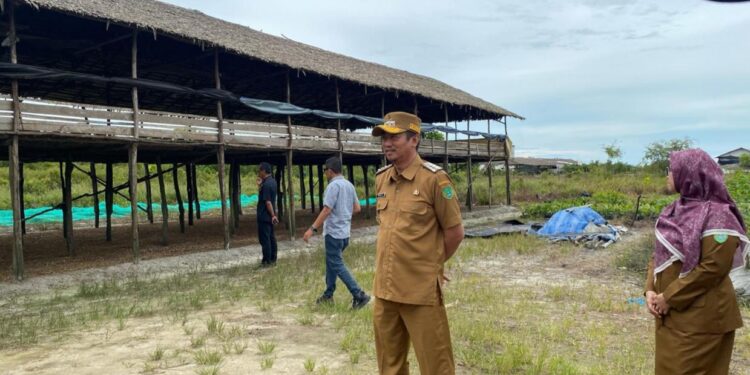 FOTO : MATAKALTENG - Bupati Sukamara, Masduki meninjau kadang ayam di Kecamatan Pantai Lunci, Selasa, 18 Maret 2025.