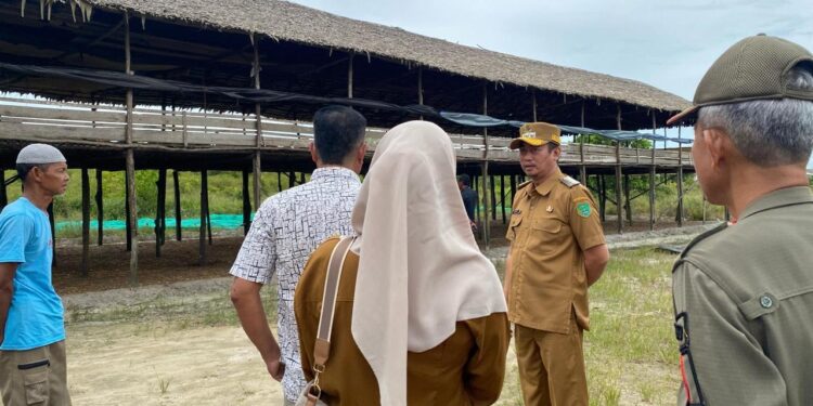 FOTO : MATAKALTENG - Bupati Sukamara, Masduki meninjau kadang ayam di Kecamatan Pantai Lunci, Selasa, 18 Maret 2025.