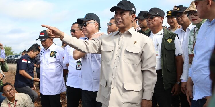 FOTO: IST/MATAKALTENG - Mentan saat meninjau langsung lokasi cetak sawah Dadahup.