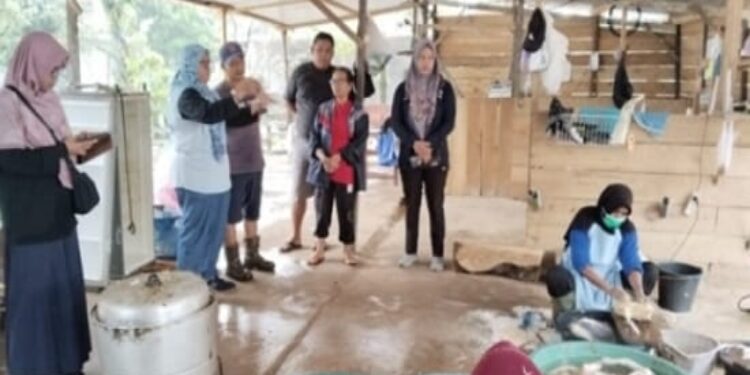 FOTO: IST/MATAKALTENG
Dinas Pertanian Kabupaten Kobar menggelar pembinaan terhadap peternak unggas di RPU Sungai Pakit, Jumat 7 Maret 2025.