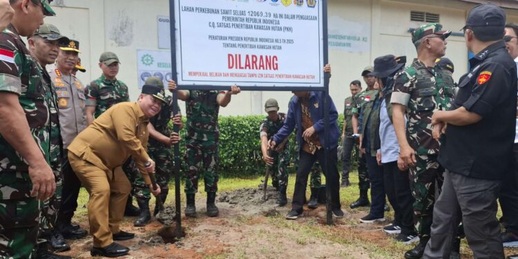 Foto: DOK/MATA KALTENG - Penyitaan lahan perekebunan kelapa sawit oleh tim Satgas Garuda PKH di Kotim beberapa waktu lalu.
