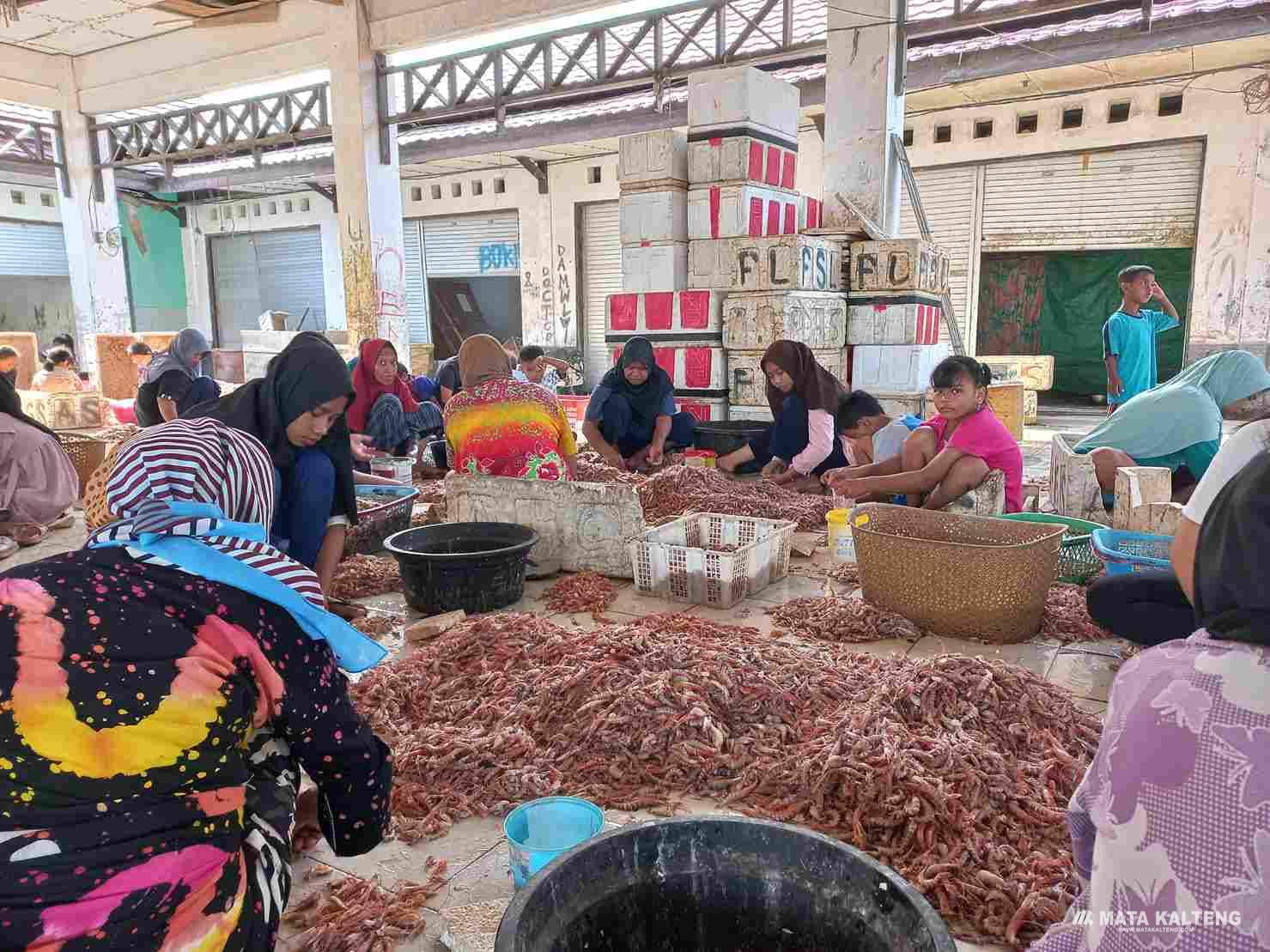 Pelabuhan Perikanan Kuala Pembuang Jadi Penghasil Udang Terbesar di Kalteng