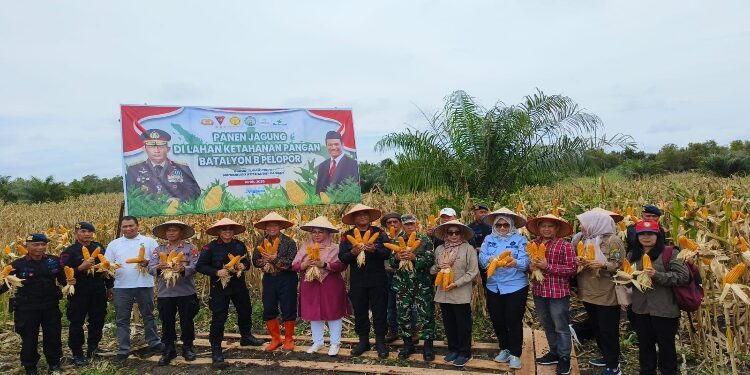 FOTO: IST/MATA KALTENG - Wakil Bupati Kotim Irawati saat hadiri panen raya kebun jagung di Mako Brimob Polda Kalteng Jalan Jendral Sudirman KM 20, Sabtu 5 April 2025.