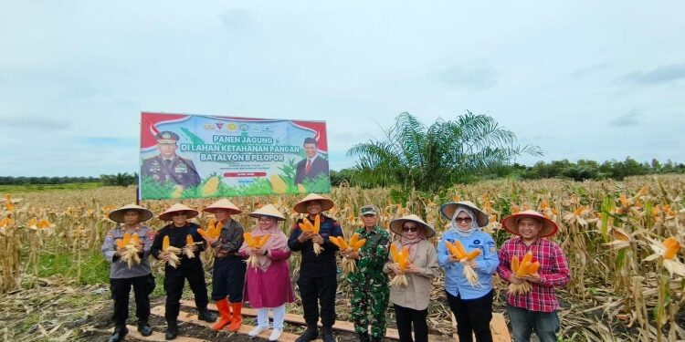 FOTO: IST/MATA KALTENG - Panen raya kebun jagung di Mako Brimob Polda Kalteng di Sampit, Kotim, Sabtu 5 April 2025.