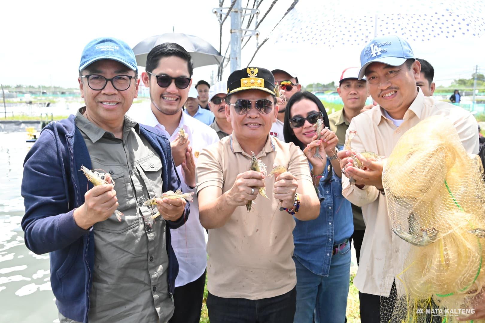Kunjungan Kerja ke Sukamara, Gubernur Tinjau Jembatan Perbatasan Kalbar dan Tambak Udang Shrimp Estate